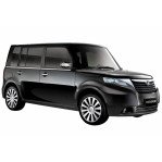 GREAT WALL|GREAT WALL Cool Bear (09- )